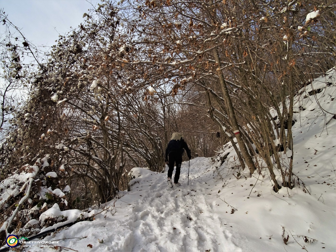 12 Tratto di sentiero nel bosco  pestando neve.JPG